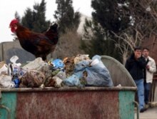 Azerbaijan -- Local men pass a rooster sittiing atop a refuse tank in the industrial city of Sumgait, some 30 kms from Azerbaijan's capital Baku, 12 Feb. 2006