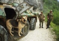 Abkhazia: more complex than frozen (ITAR-TASS)