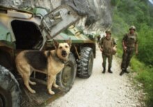 Georgia – Abkhazia / Russia – A German shepherd dog and Russian peacekeepers, 28Jul2006