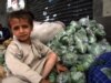 Overthrowing Yemen's King Qat