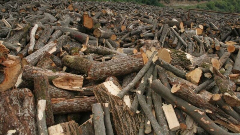 Ապօրինի ծառահահատումը «շարունակում է մնալ Հայաստանի անտառների թիվ մեկ խնդիրը»