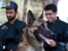 Iran’s Counternarcotics Canine Clone War