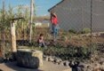 283 დიმიტრი ნადირაძე: ”ცხოვრება წყლის გარეშე”