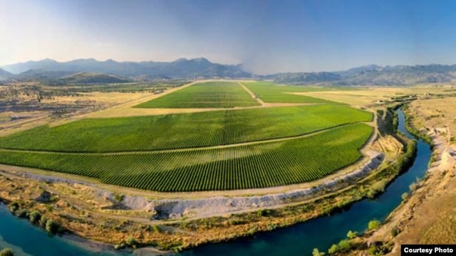 Vingorad Čemovsko polje