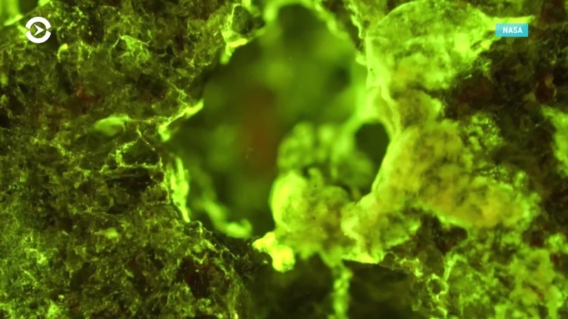 ������: �������� ��������� �� ����