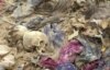 Iraq: Mass Grave IDs Fast-Tracked