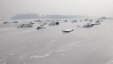 All vessels on the 600-kilometer stretch through Serbia have been blocked in port.