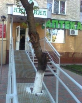 Айрат Кәлимуллин төшергән фото