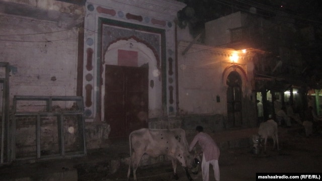 A Hindu man feeds a cow in Pakistan on the eve of a religious holiday.