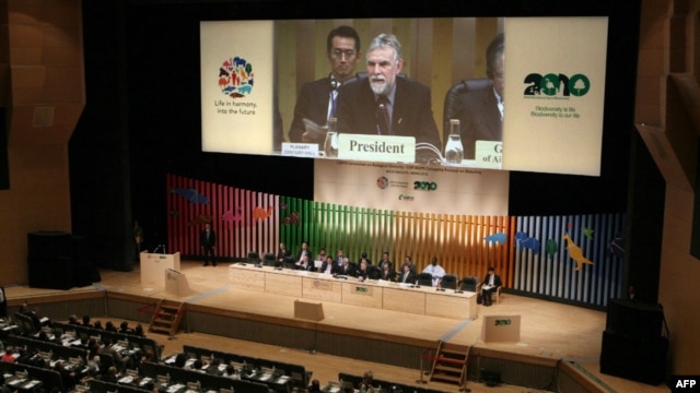 Some 8,000 delegates from 193 nations are attending the UN Convention on Biological Diversity in Nagoya, Japan.