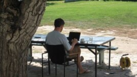 Pisanje pod krošnjom drveta