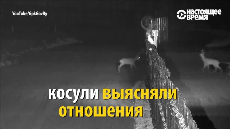  ��������� �������� ������ ������� 