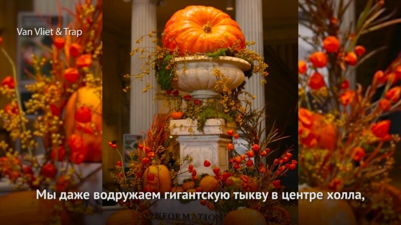  ������ ����� ����� 