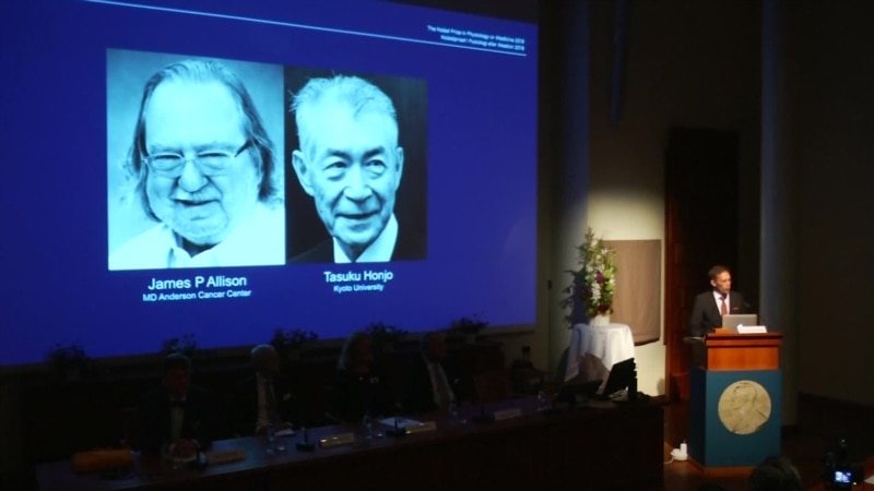  ����� ��������� ������� ���� ����������� ������-2018 �������� 