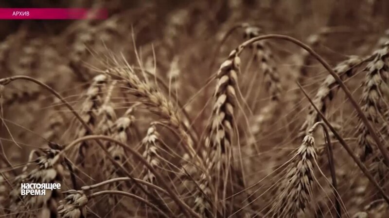  ��������� ����� ���� 2016 