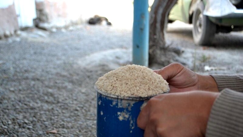 В Оренбурге уничтожили тонну риса из Кыргызстана