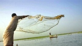 صورة من أهوار العراق 