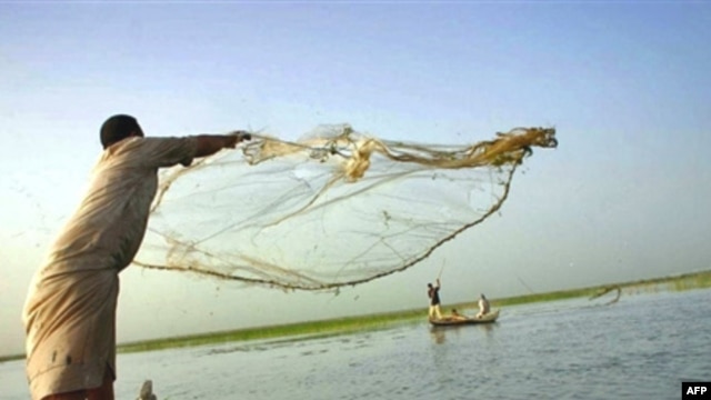 صورة من أهوار العراق 