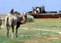 Karakalpakstan has suffered enormously from Aral Sea devastation (AFP)