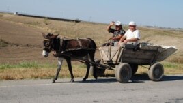 În provincie, pe drumul reformelor