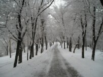 Winter was especially cold in Kazakhstan this year (RFE/RL)