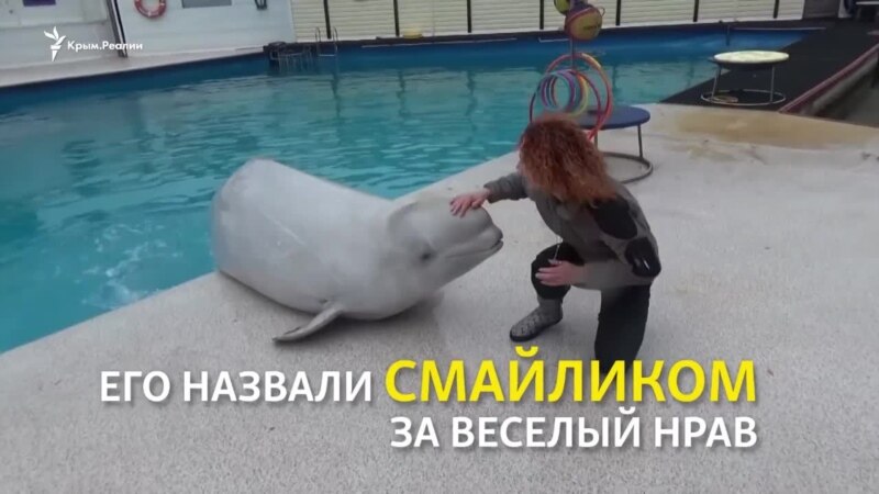  ���� ������� 