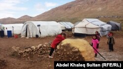 نازحون يزيديون في جبل سنجار، 3 آذار 2015