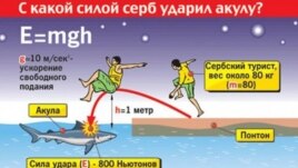 Šarm el šeik, pijani turista, ilustracija sa njuz.net