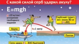 How to jump the shark, courtesy of a Russian newspaper