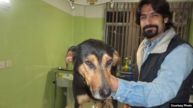 Iranian animal rights activist Ali Tabarzadi