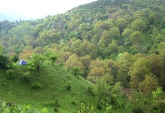 The Arslanbap walnut forest in southern Kyrgyzstan