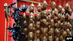 Lizards, scorpions, and bugs are on offer at a food stall on the Wangfujing shopping street in Beijing.