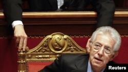 Italian Prime Minister Mario Monti attended the vote of confidence at the Senate in Rome on November 17.