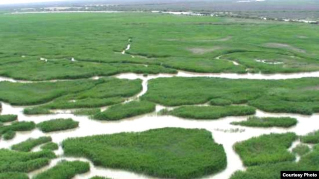 The Amudarya delta in Uzbekistan, which Tashkent believes could be adversely affected by the Roghun hydropower project.