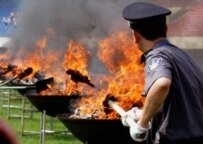 Police in Guizhou Province burn confiscated drugs (epa file photo)