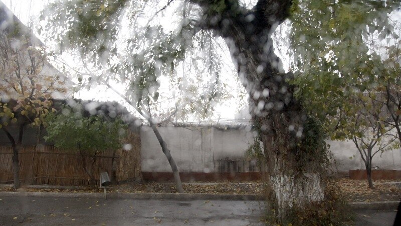  ��������� ��������� �������� ������� 