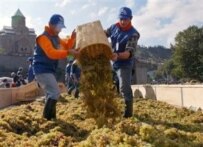 Georgian men empty a basket full of grapes in a Tbilisi square as part of a wine celebration in 2005 (AFP)