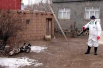 A Turkish official sprays ducks in Dogubeyazit, the hometown of Turkey's first human victims of bird flu (5 January 2006) (epa)