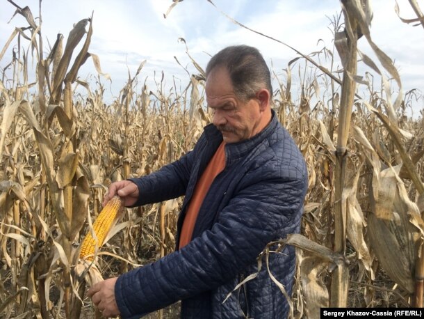 Фермер Виктор Зеленский, Павловский район