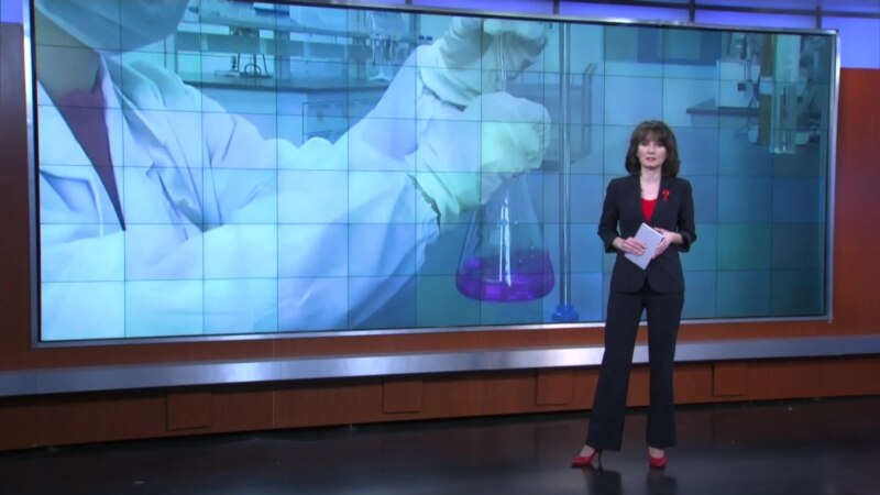 �����: �������� �������