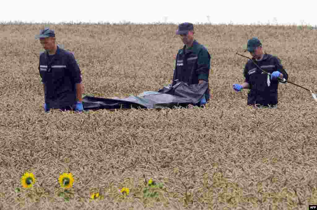 Ukrainian rescue workers carry the body of a victim away from a crash site on a stretcher through a wheat field near Hrabove on July 19. 