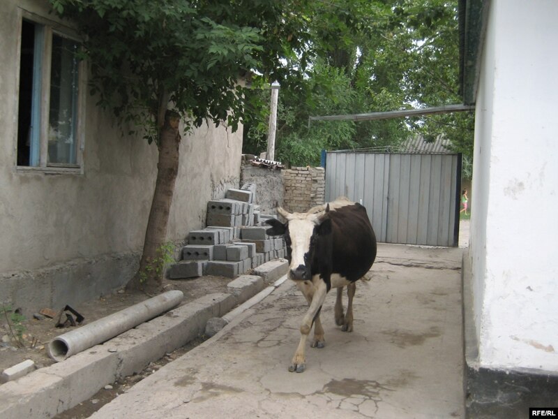 kyrgyzstan women