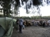 Russian Activists Camp Out As Battle For Khimki Forest Heats Up