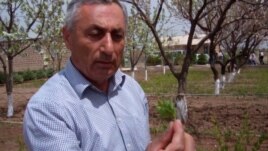 Samvel Ghandilyan is the manager of the Armenia Tree Project's nursery in the village of Karin in western Armenia