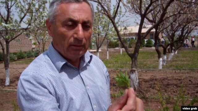 Samvel Ghandilyan is the manager of the Armenia Tree Project's nursery in the village of Karin in western Armenia
