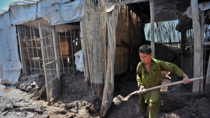  ���������� ��������� ����� �������� ������� 