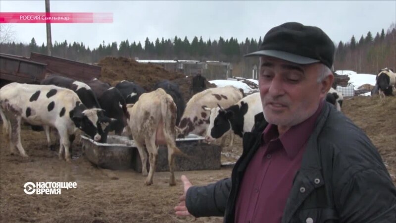  ��������� ����� ���� 2016 