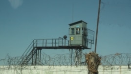 Тюремная сторожевая вышка и колючая проволока по периметру колонии. Иллюстративное фото.