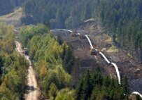 The pipeline being built as part of the Sakhalin-2 project runs through the Zubrovy nature reserve (ITAR-TASS)