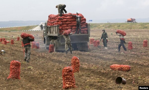 Красноярск өңірінде жұмыс істеп жүрген өзбекстандық мигранттар. Ресей, 7 қыркүйек 2015 жыл. (Көрнекі сурет)